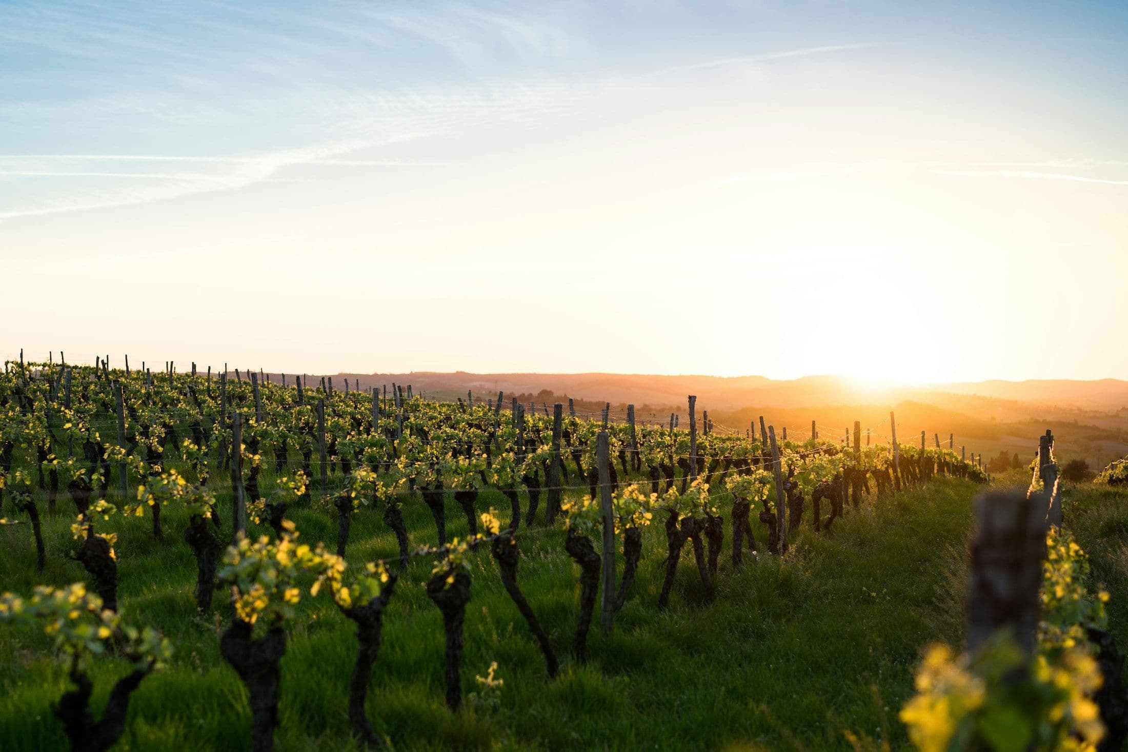 Sun setting over the Franschhoek valley vineyards