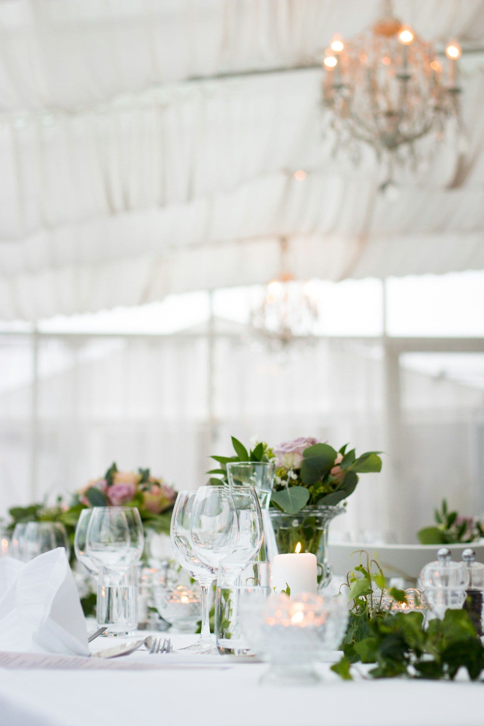 Wine glasses catching light on a long table
